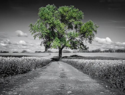 La felicità al lavoro non è un’emozione: si costruisce